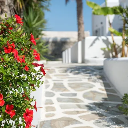 Summer Shades - Ex Arkoulis 3* Νάουσα