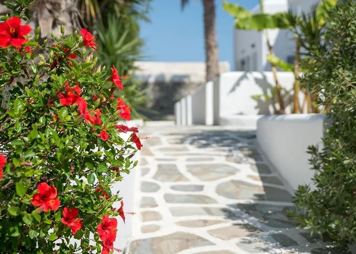 Summer Shades - Ex Arkoulis 3* Naoussa