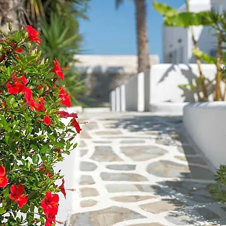 Summer Shades - Ex Arkoulis 3*